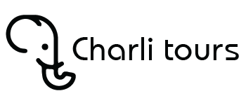 Charli Tours Logo